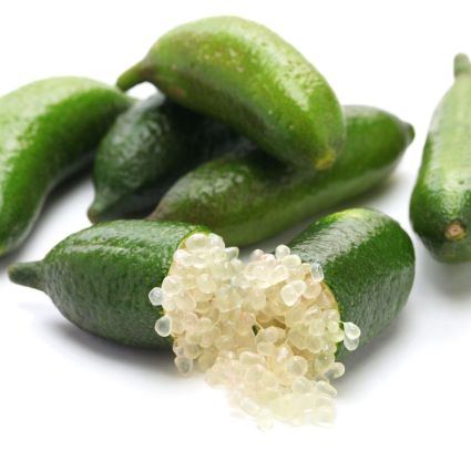 Australian Finger Lime