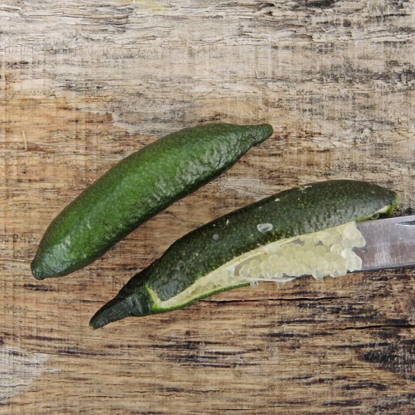 Australian Finger Lime - Image 3