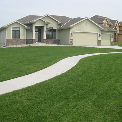 Bella™ Bluegrass Grass Plugs