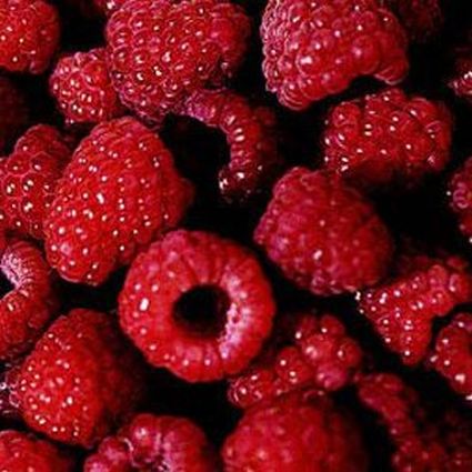 Boyne Raspberry - Image 4