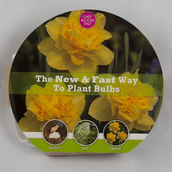 Dick Wilden Daffodil Easy Bloom Pad
