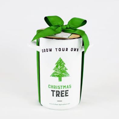 Christmas Tree Kit - Image 2