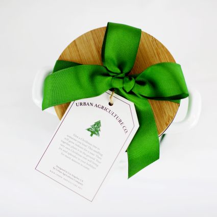 Christmas Tree Kit - Image 4