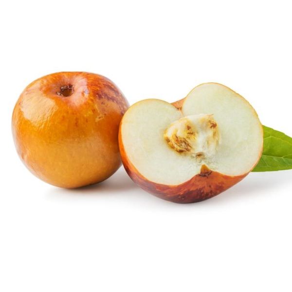 Honey Jar Jujube - Image 3