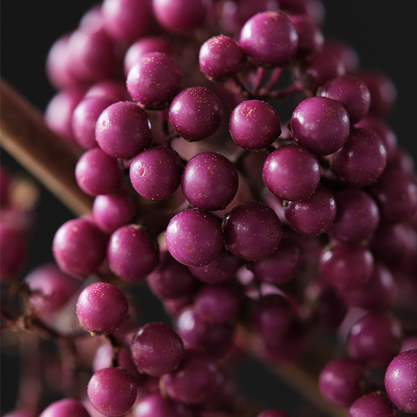 Plump & Plentiful™ Purple Giant Beautyberry