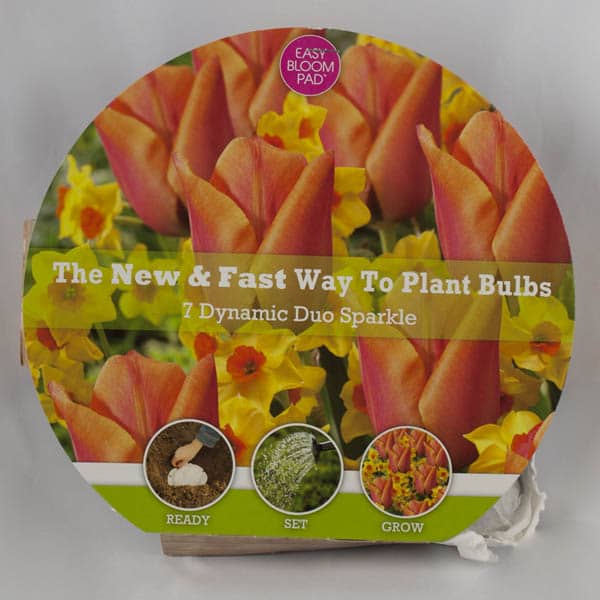 Sparkle Easy Bloom Pad