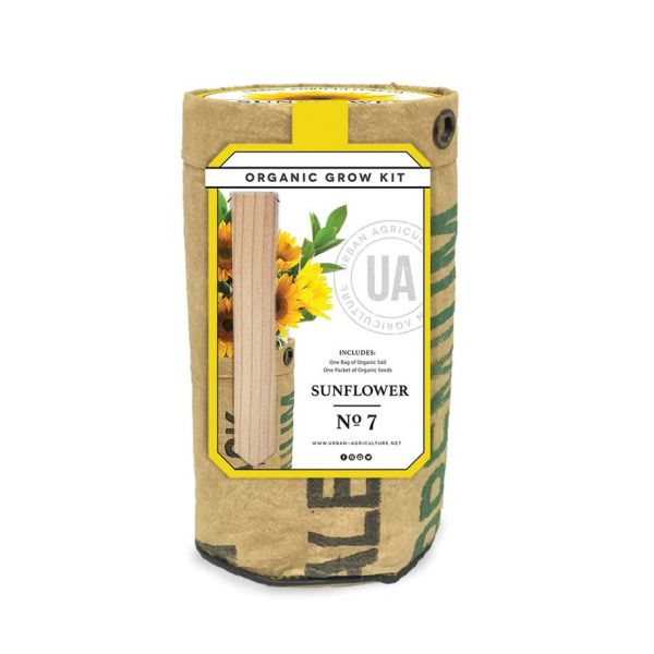 Sunflower Grow Kit - Image 3